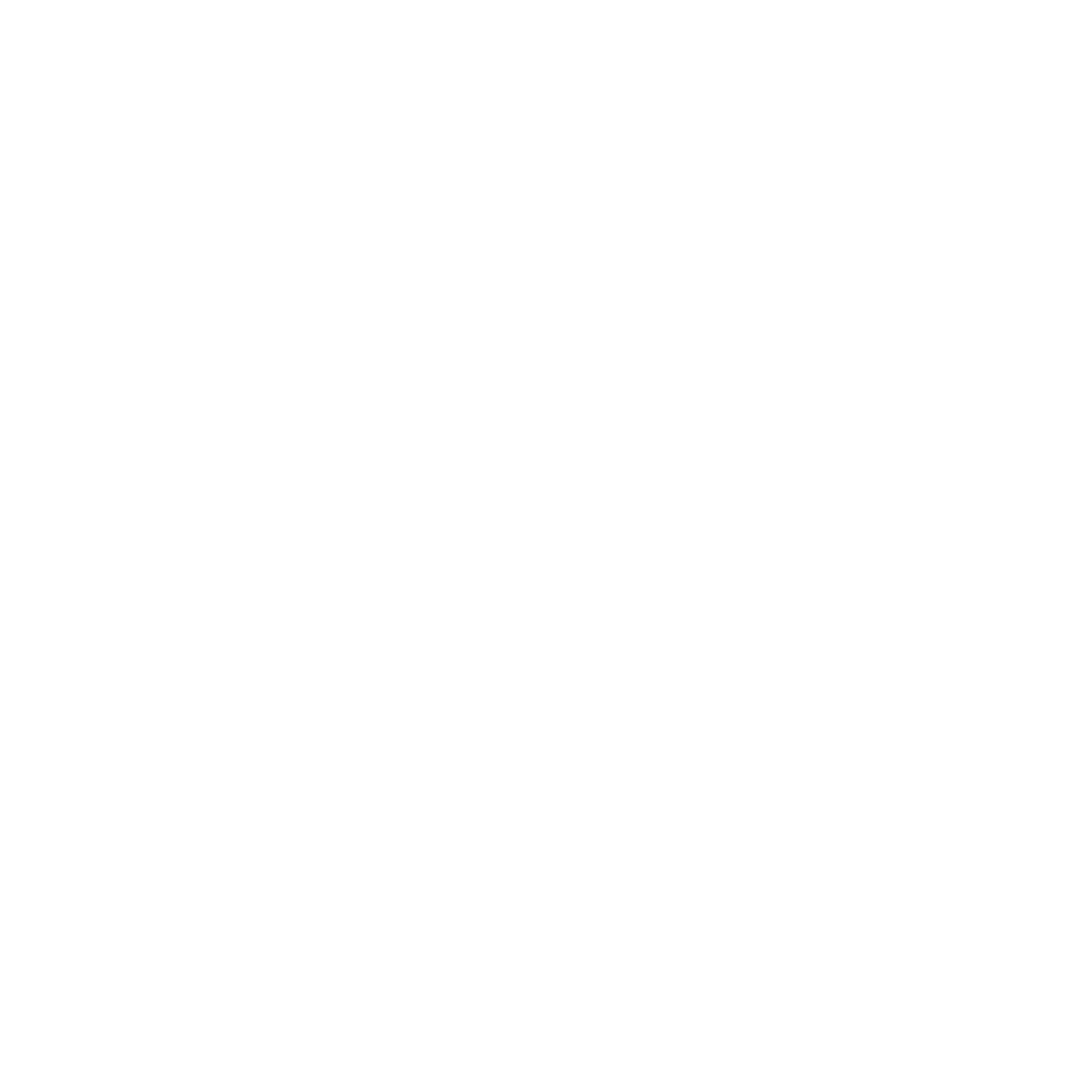 the bnb way Logo completed